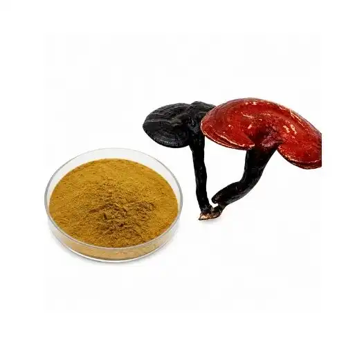 Potential for Ganoderma to enhance conventional antibiotics